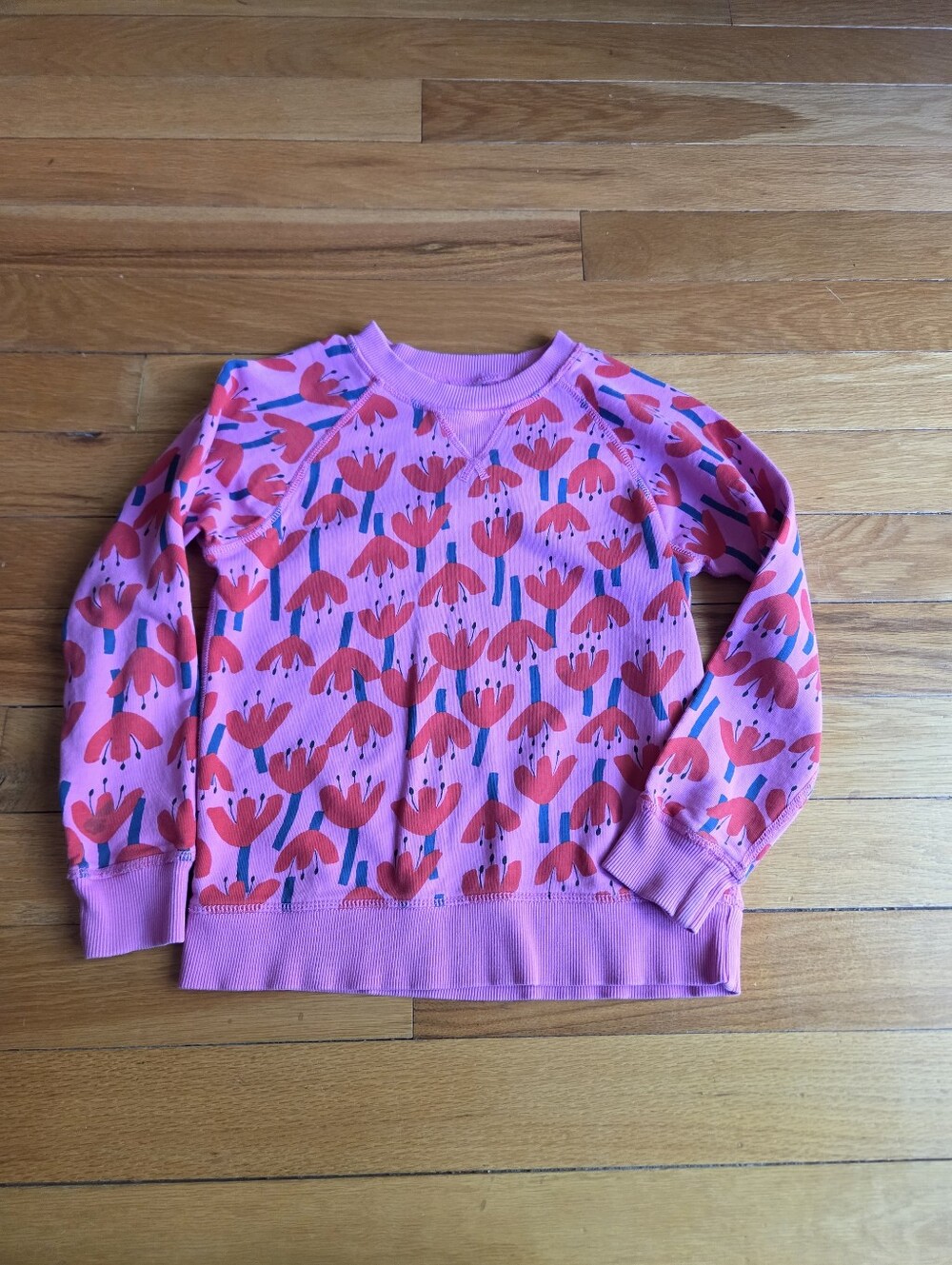Hanna Andersson Pink Sweatshirt with Red Floral Print Size 8